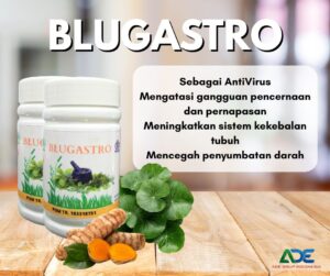 08_Obat herbal Blugastro