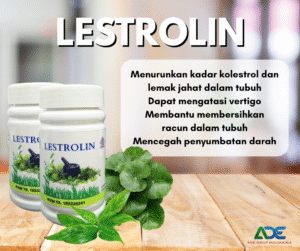 10_Obat herbal Lestrolin